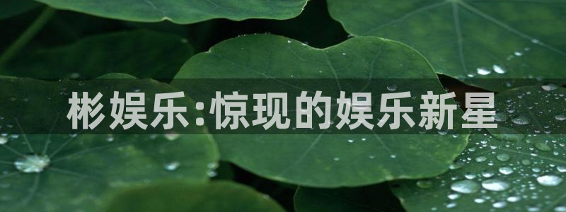 沐鸣2平台招商