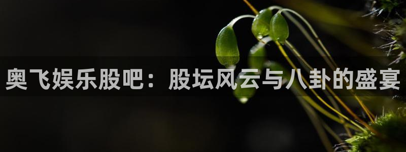 沐鸣