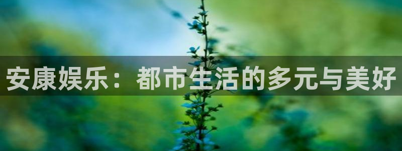 沐鸣科技