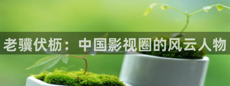 沐鸣2
