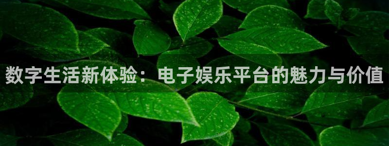 沐鸣娱乐2