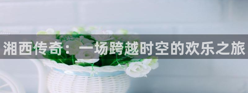 沐鸣科技
