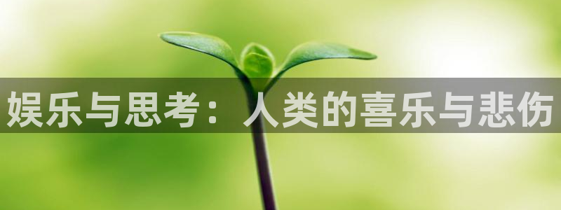 沐鸣科技